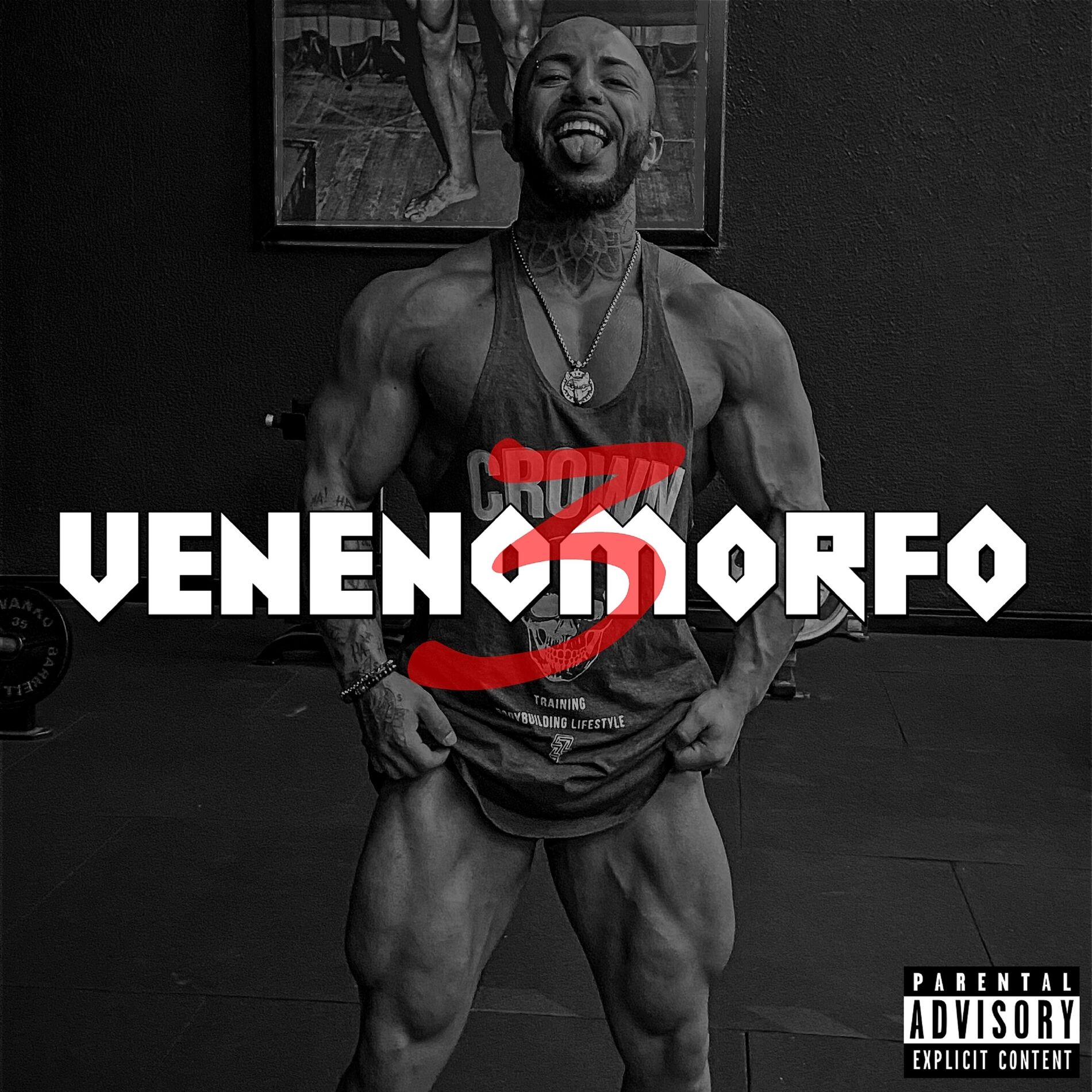 Album cover of Venenomorfo 3