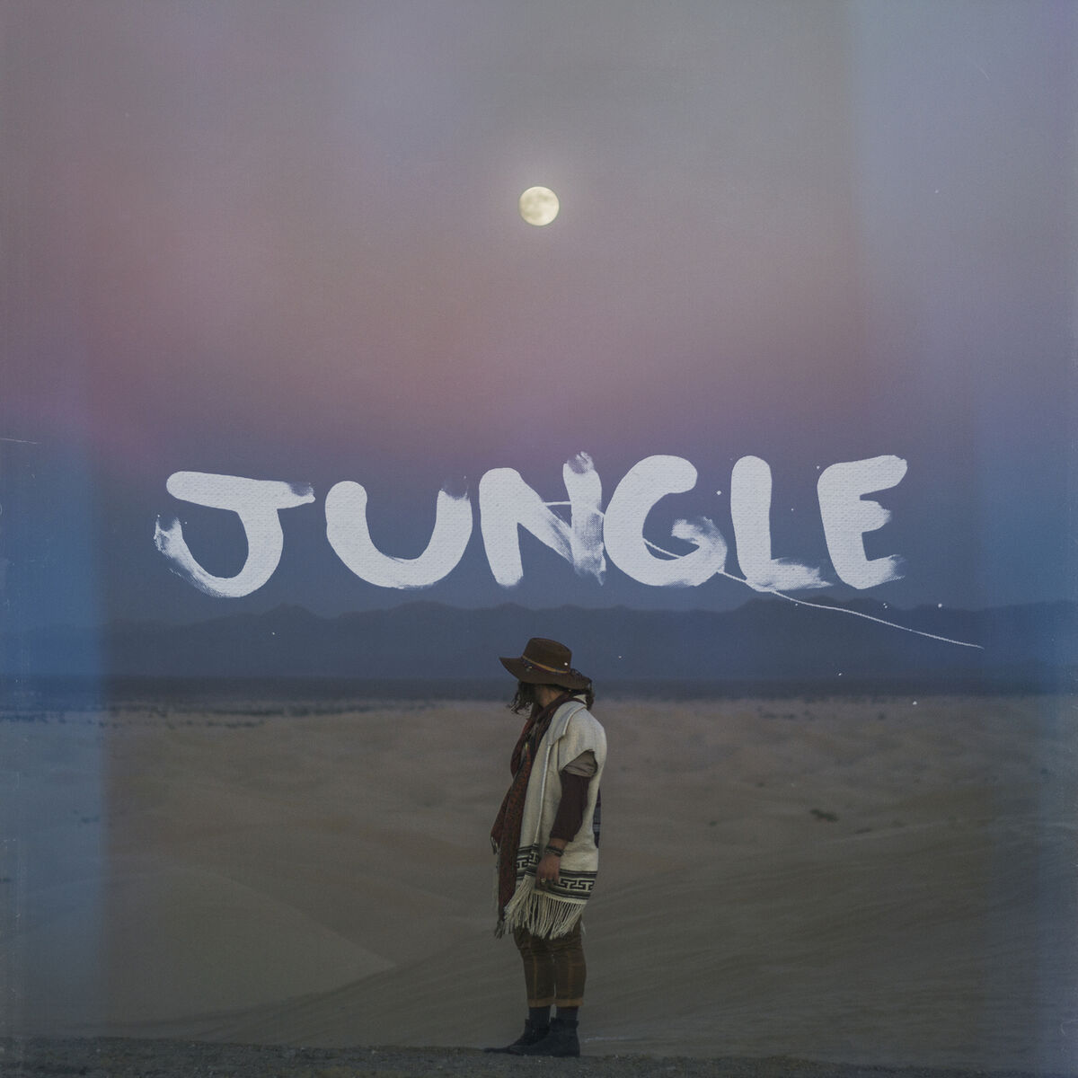 Album cover of Jungle