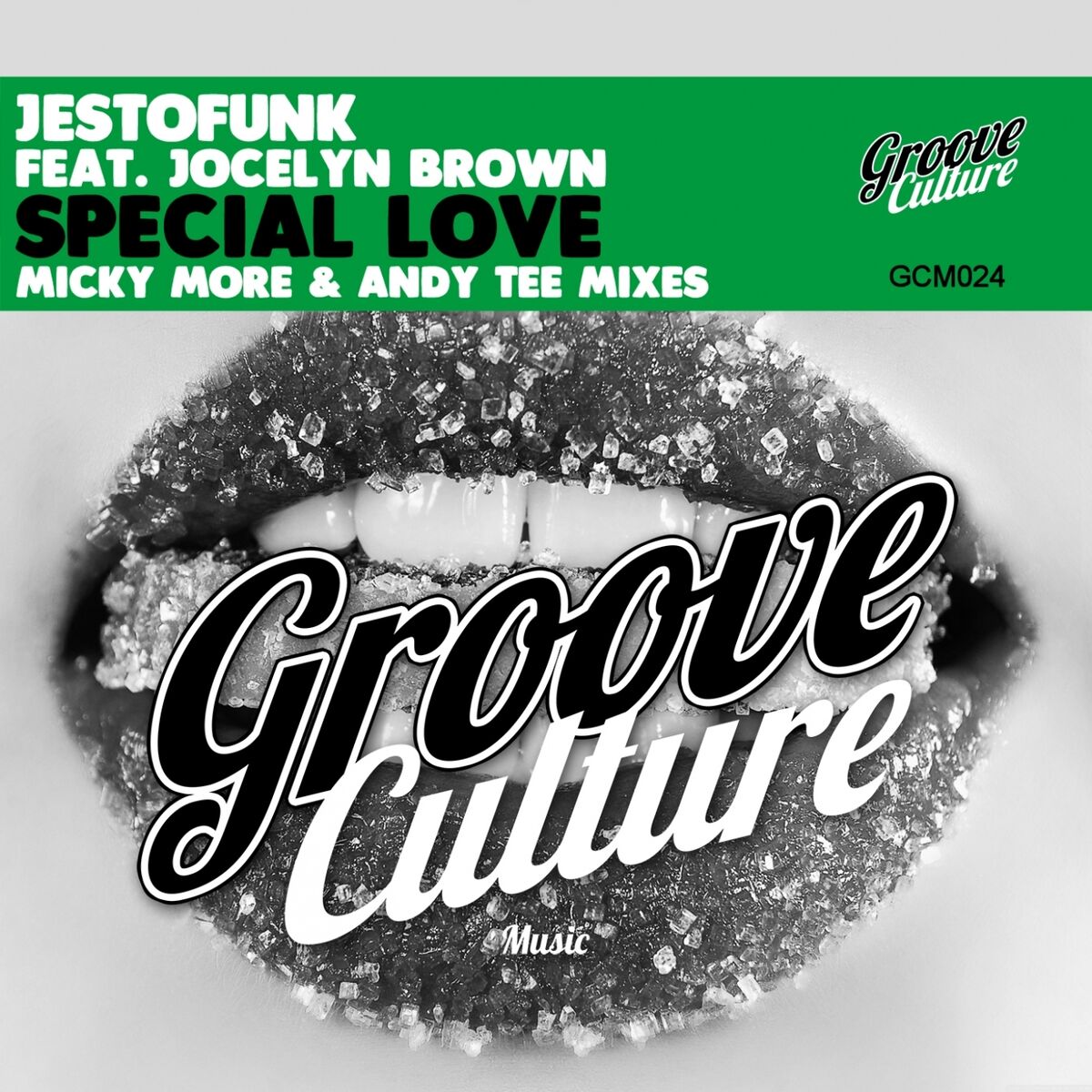 Album cover of Special Love (Micky More & Andy Tee Mixes)