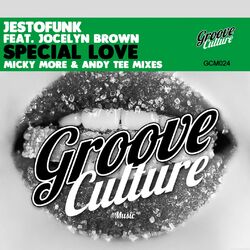 Cover of Special Love (Micky More & Andy Tee Mixes)