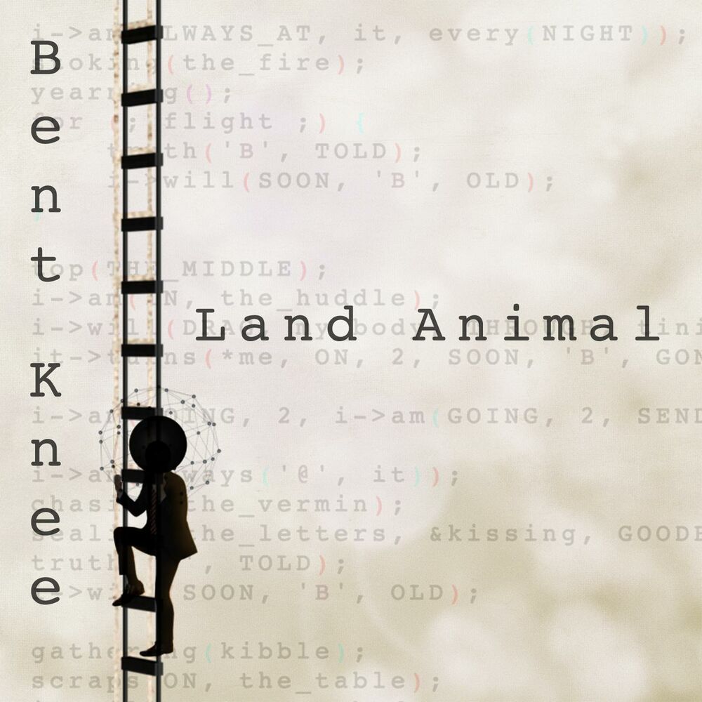 Picture of Land Animal