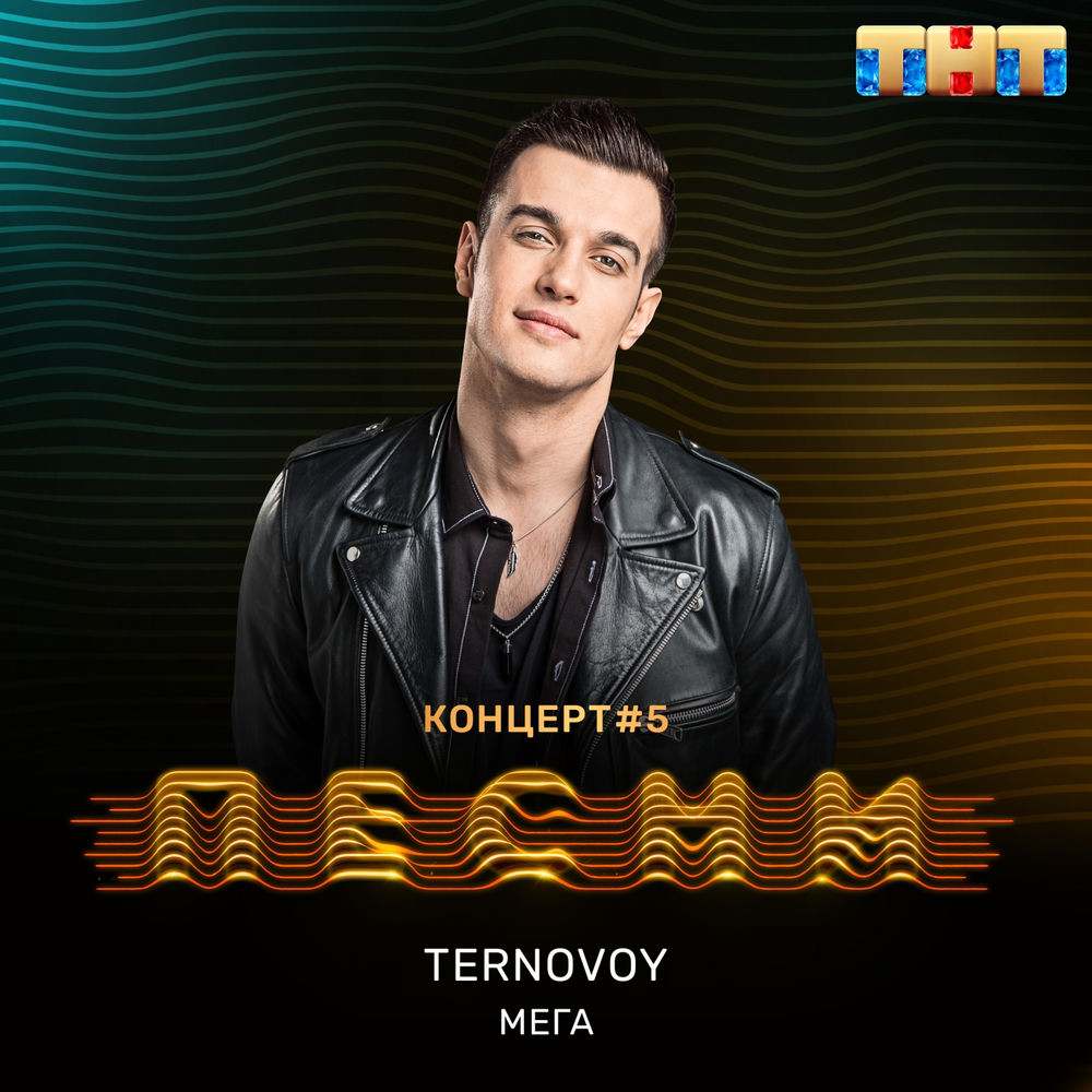 tt terry net worth