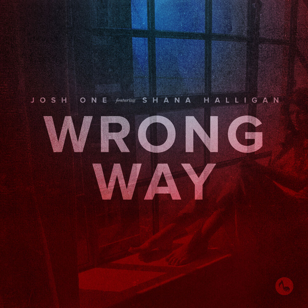 Picture of Wrong Way