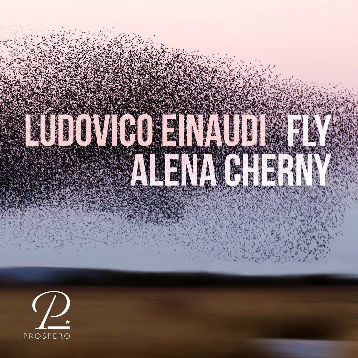 Album cover of Fly