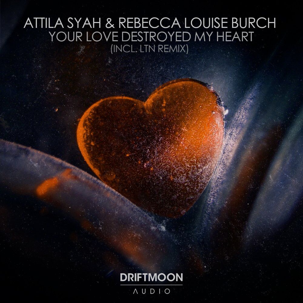 Picture of Your Love Destroyed My Heart (Incl. LTN Remix)