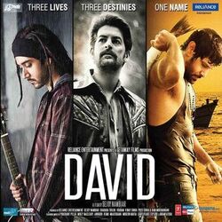 Cover of David