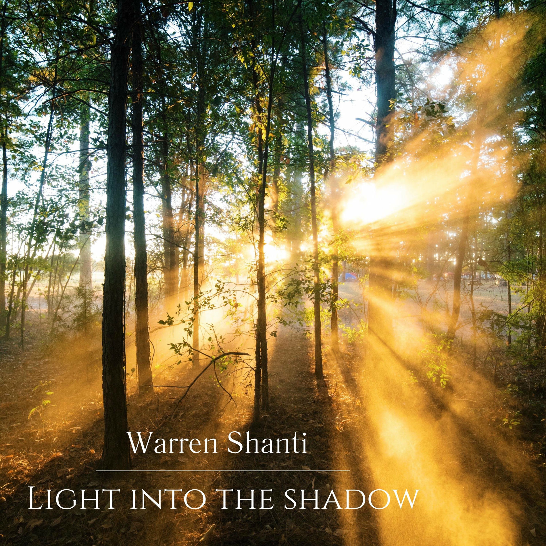 Album cover of Light into the Shadow