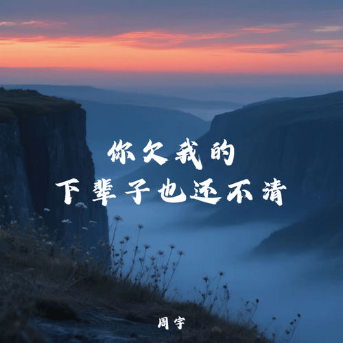你欠我的下辈子也还不清
