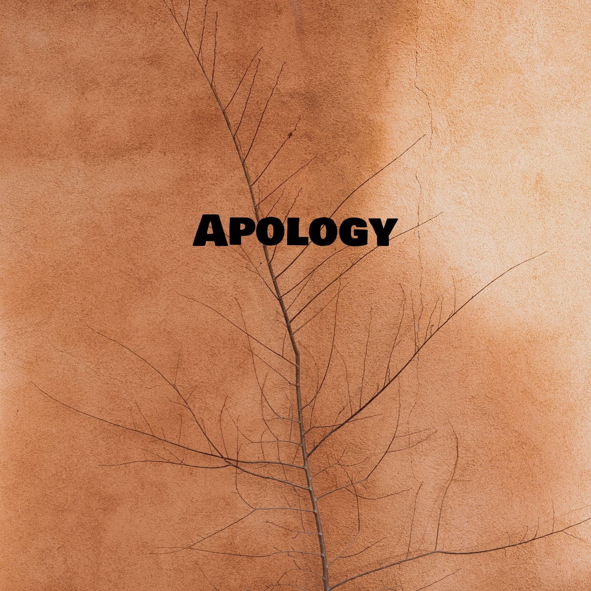 Album cover of Apology