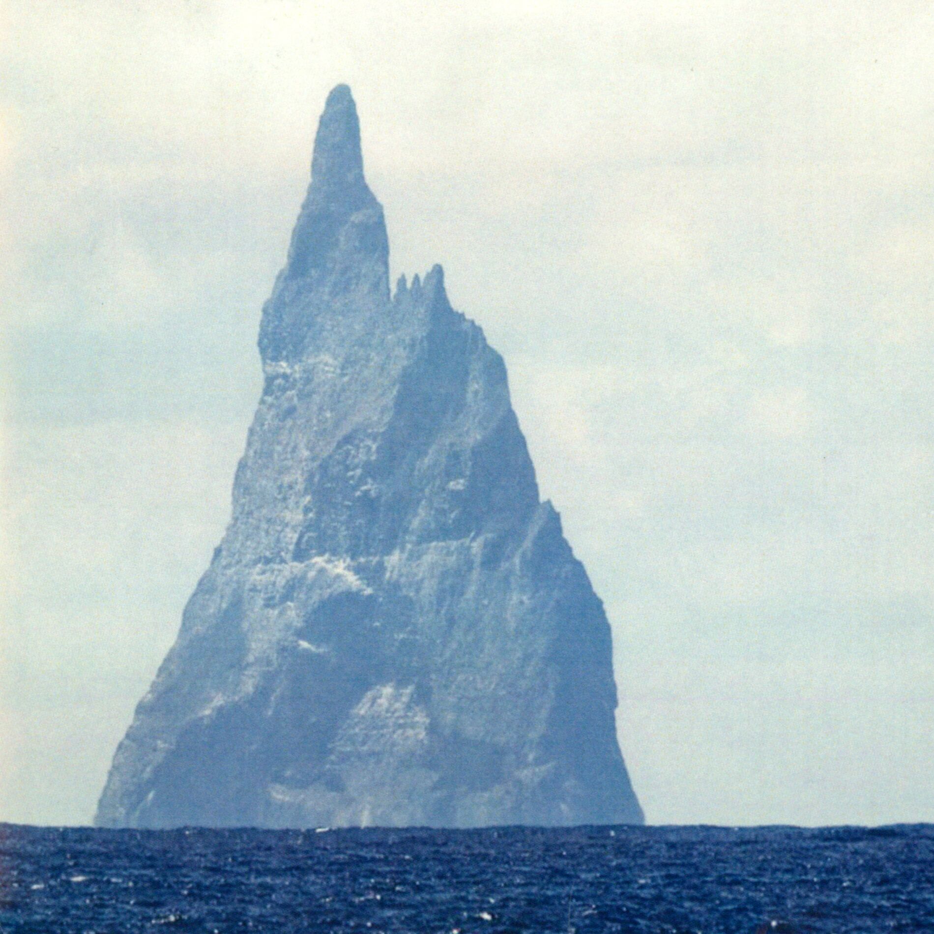 Album cover of Matilda / Fitzpleasure