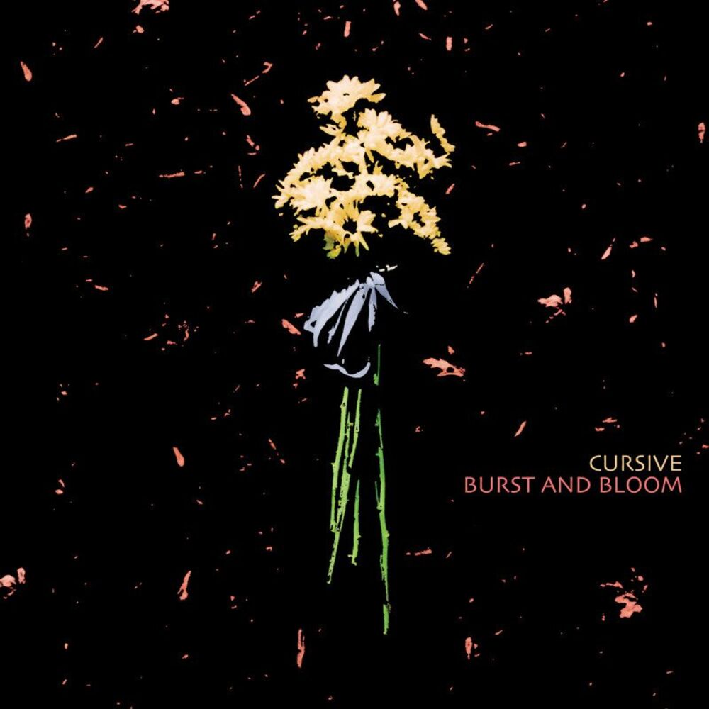 Picture of Burst and Bloom