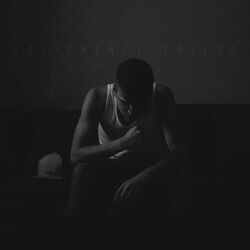 Cover of Felizmente Triste