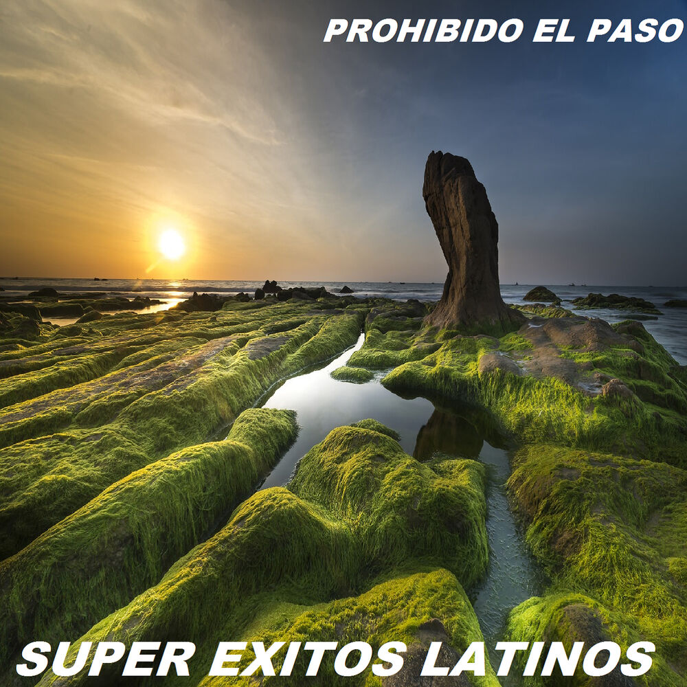 Picture of Prohibido El Paso
