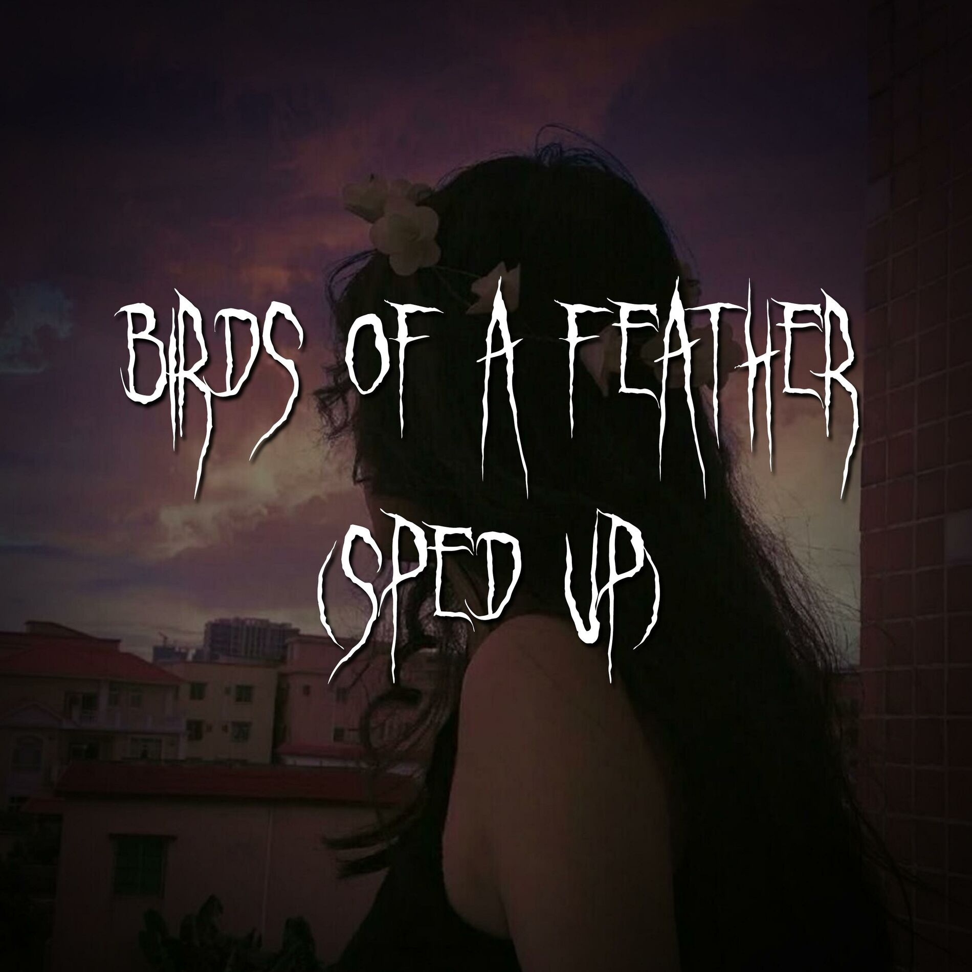 Album cover of birds of a feather (sped up)