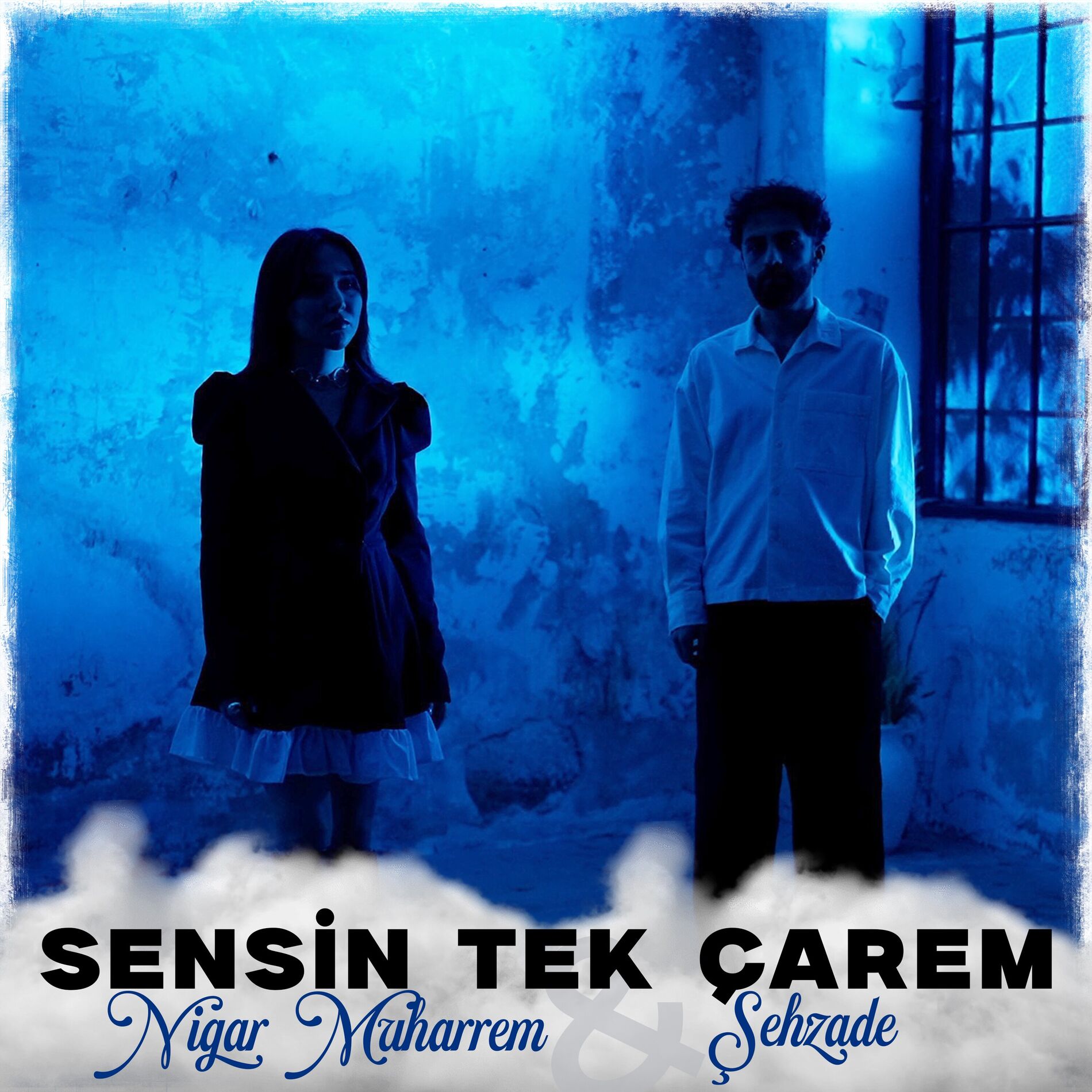 Album cover of Sensin Tek Çarem