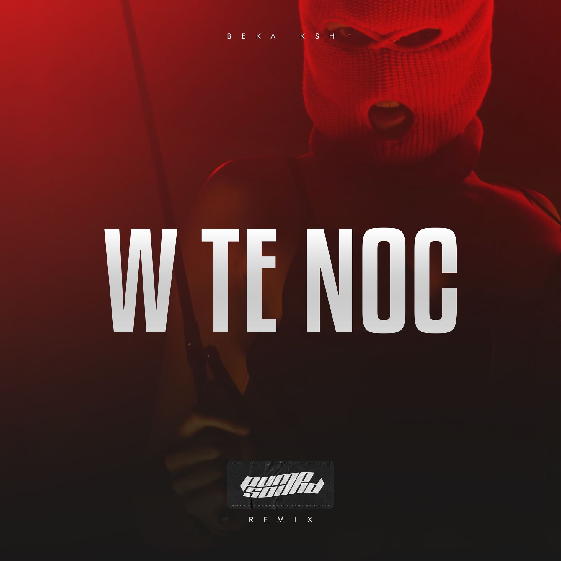 Album cover of W TE NOC (PUMPSOUND Remix)