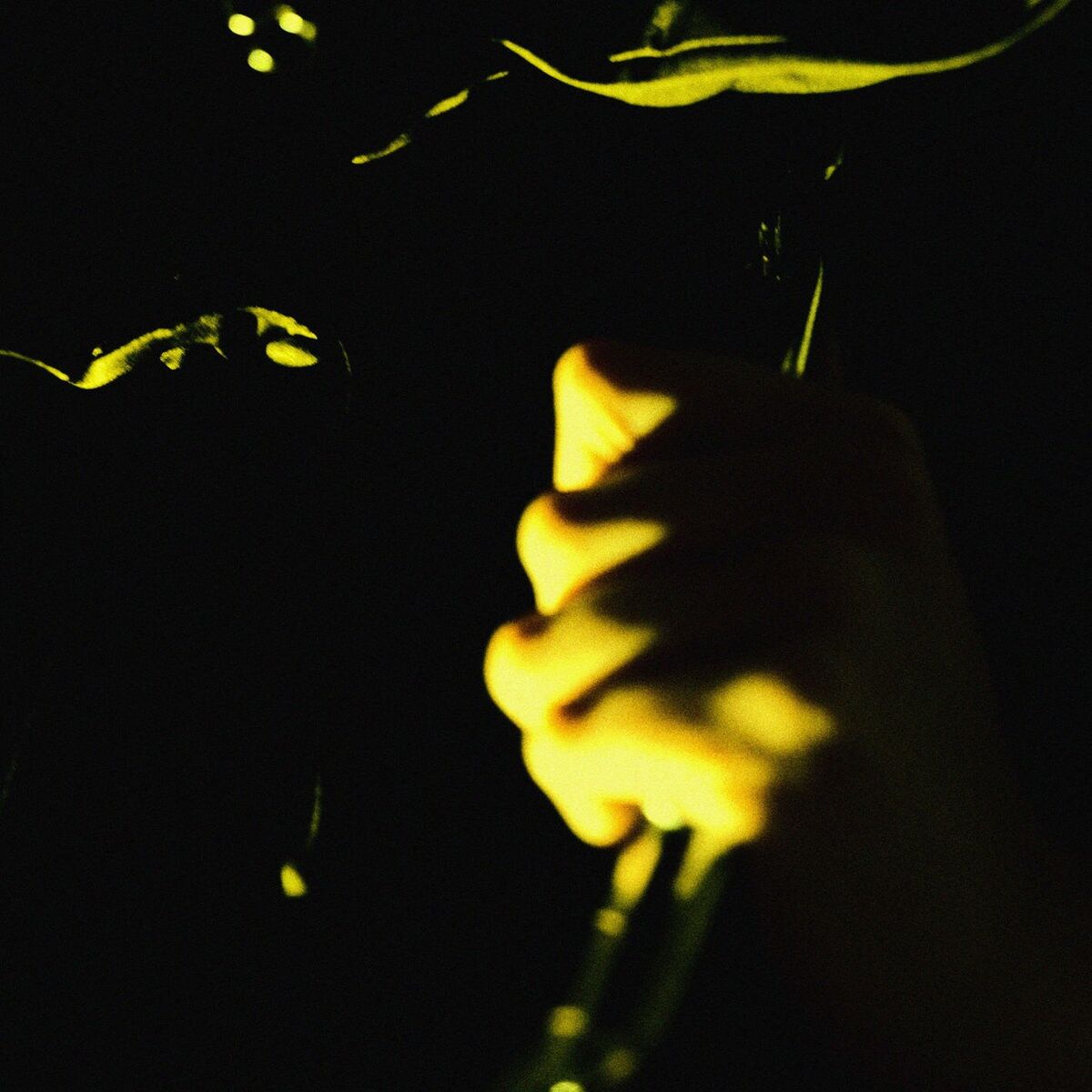 Album cover of Soul Chasm