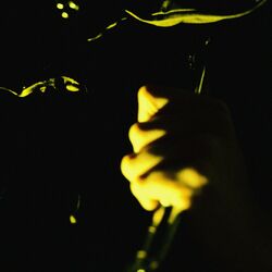 Cover of Soul Chasm