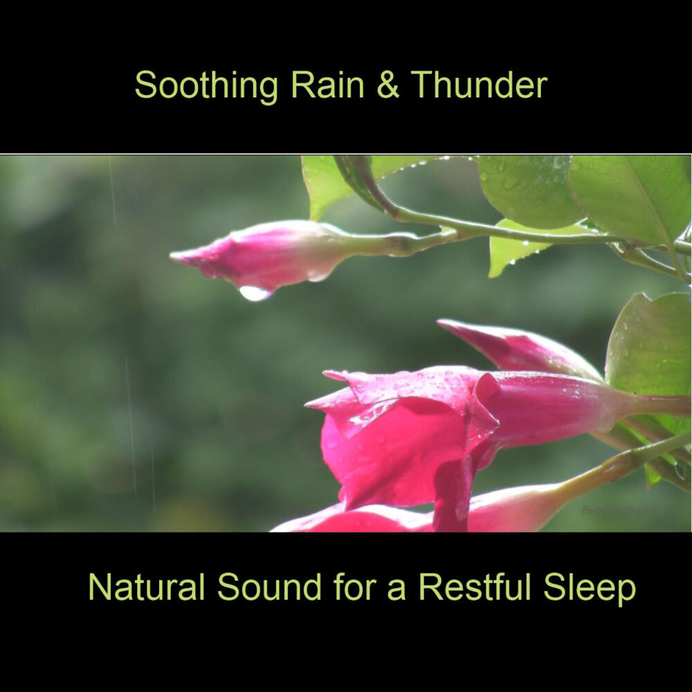 Picture of Soothing Rain & Thunder