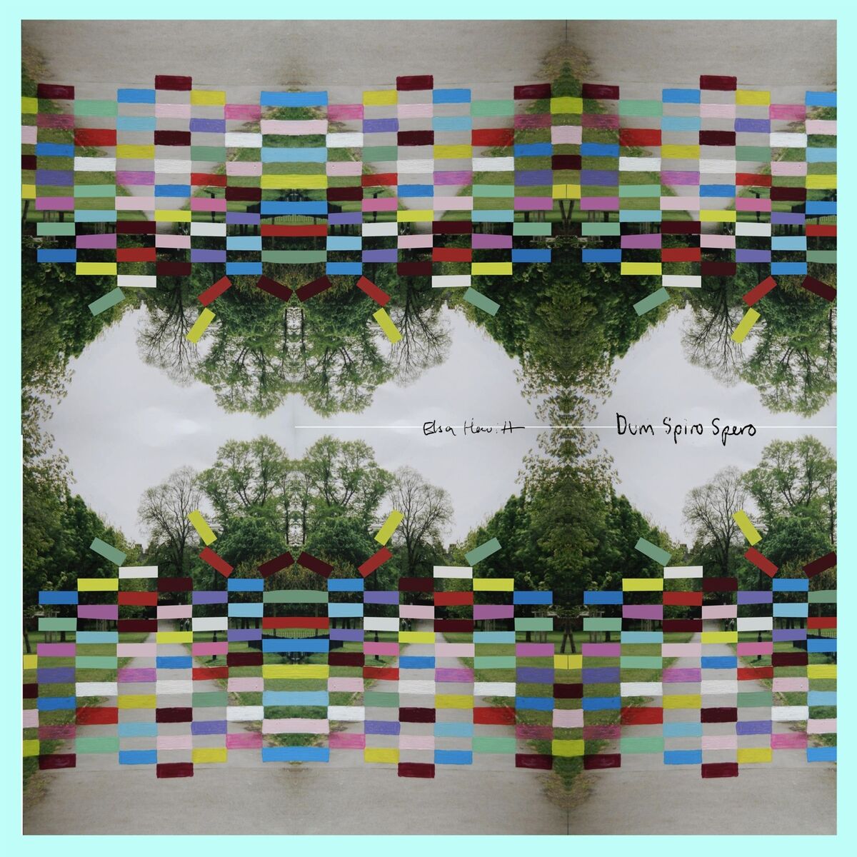 Album cover of Dum Spiro Spero