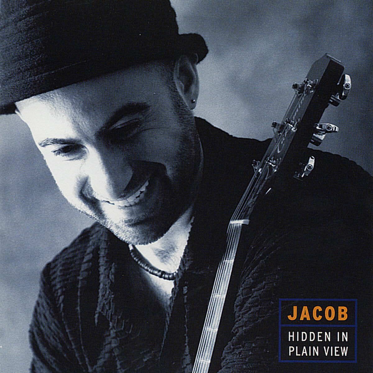 Album cover of Hidden in Plain View