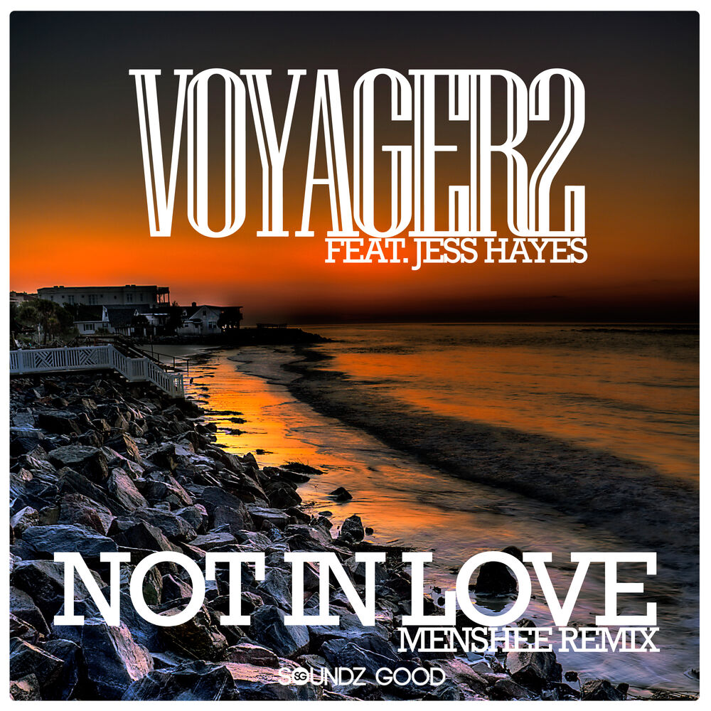 Picture of Not In Love (Menshee Remix)