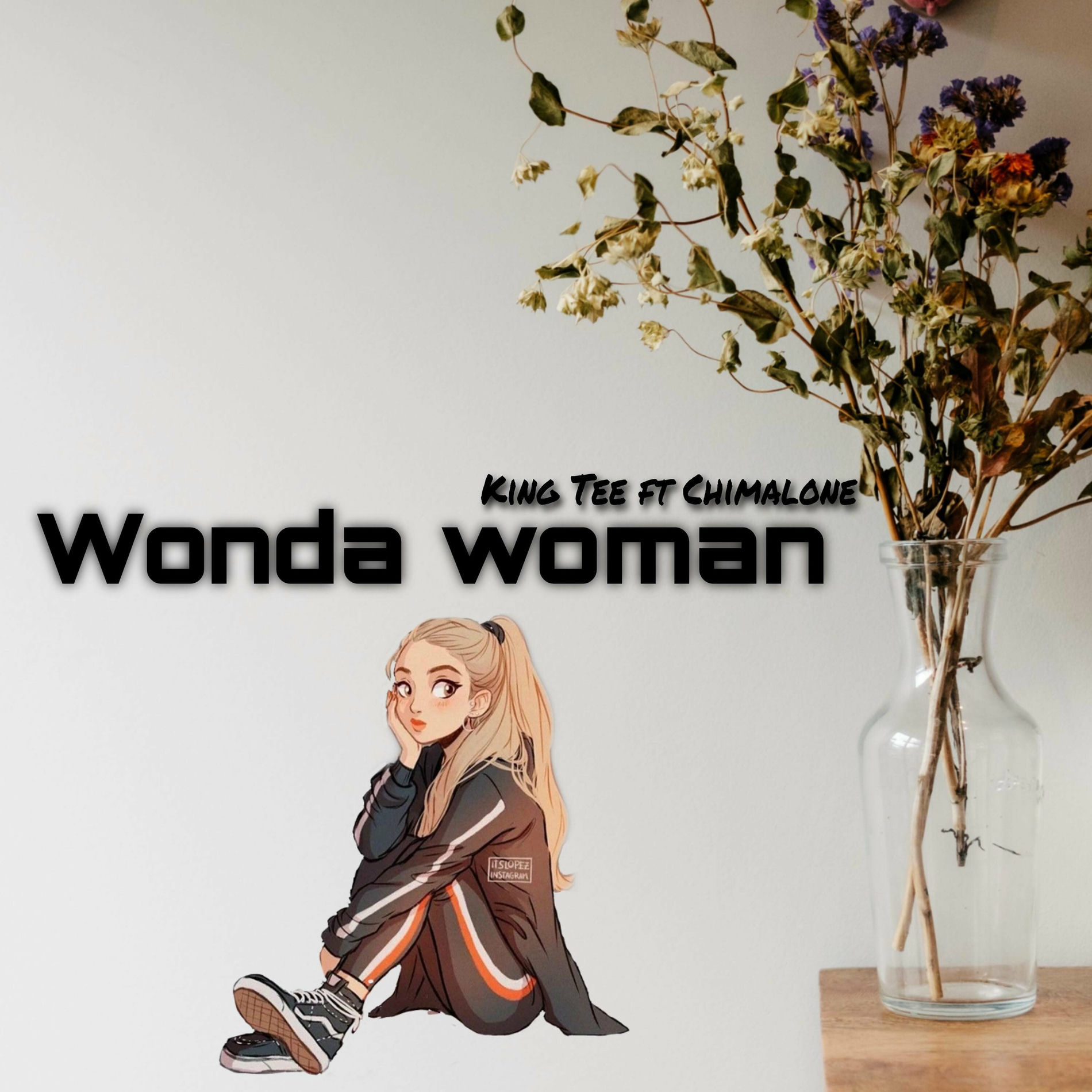 Album cover of wonda woman (Speed Up)