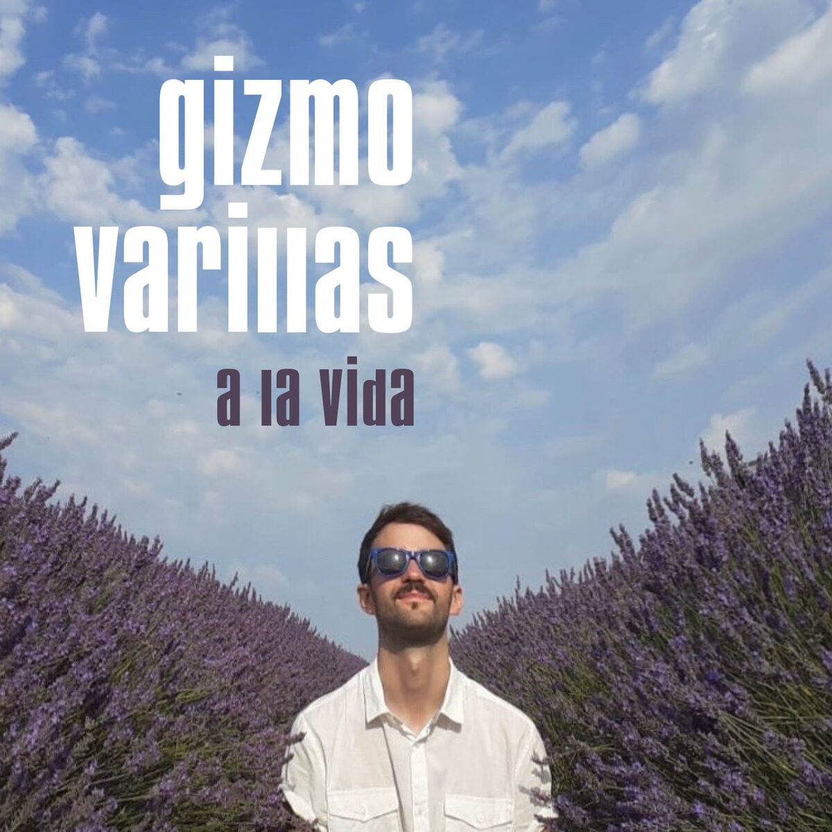 Album cover of A la Vida (Spanish Single Version)