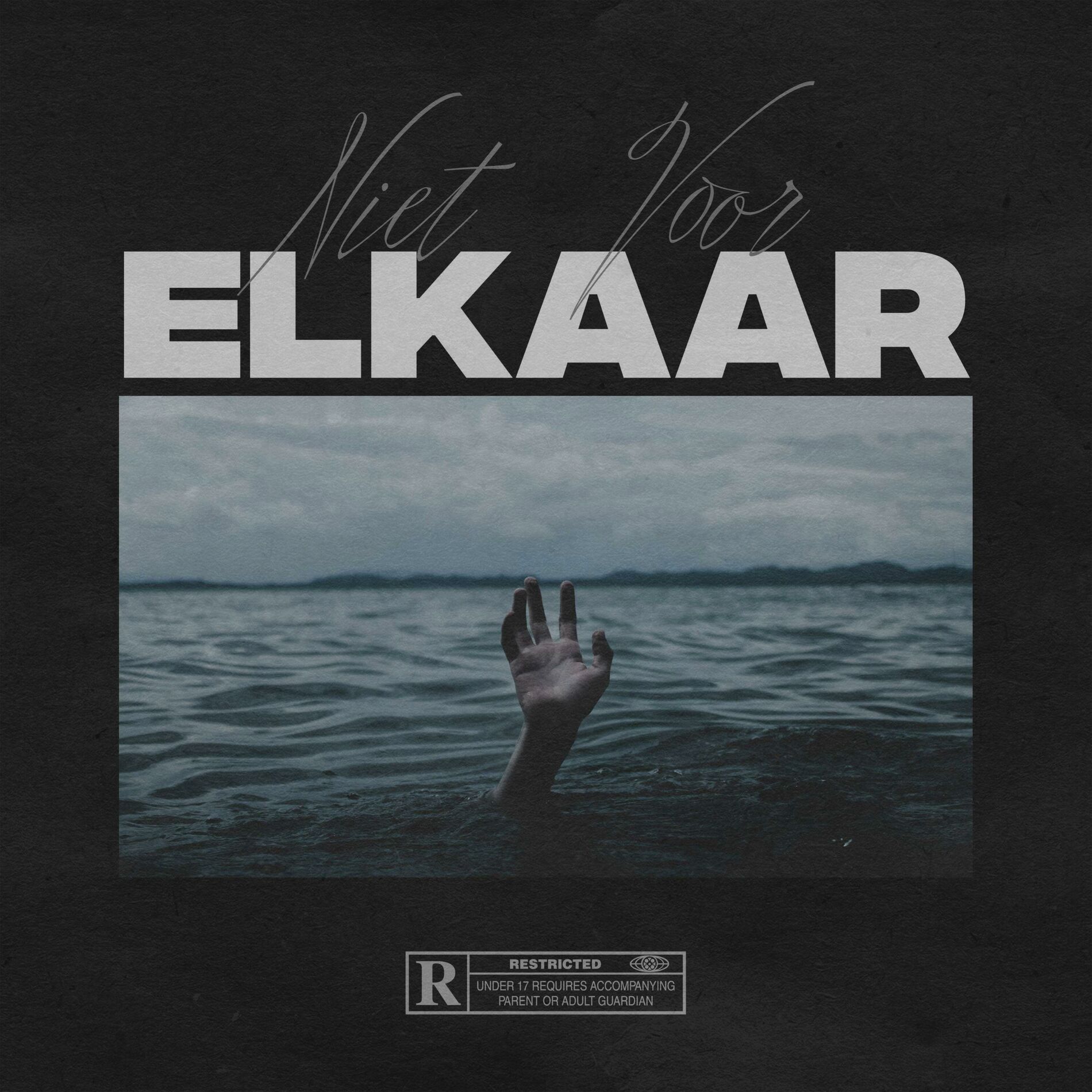 Album cover of Niet Voor Elkaar