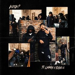 Cover of WDIW?