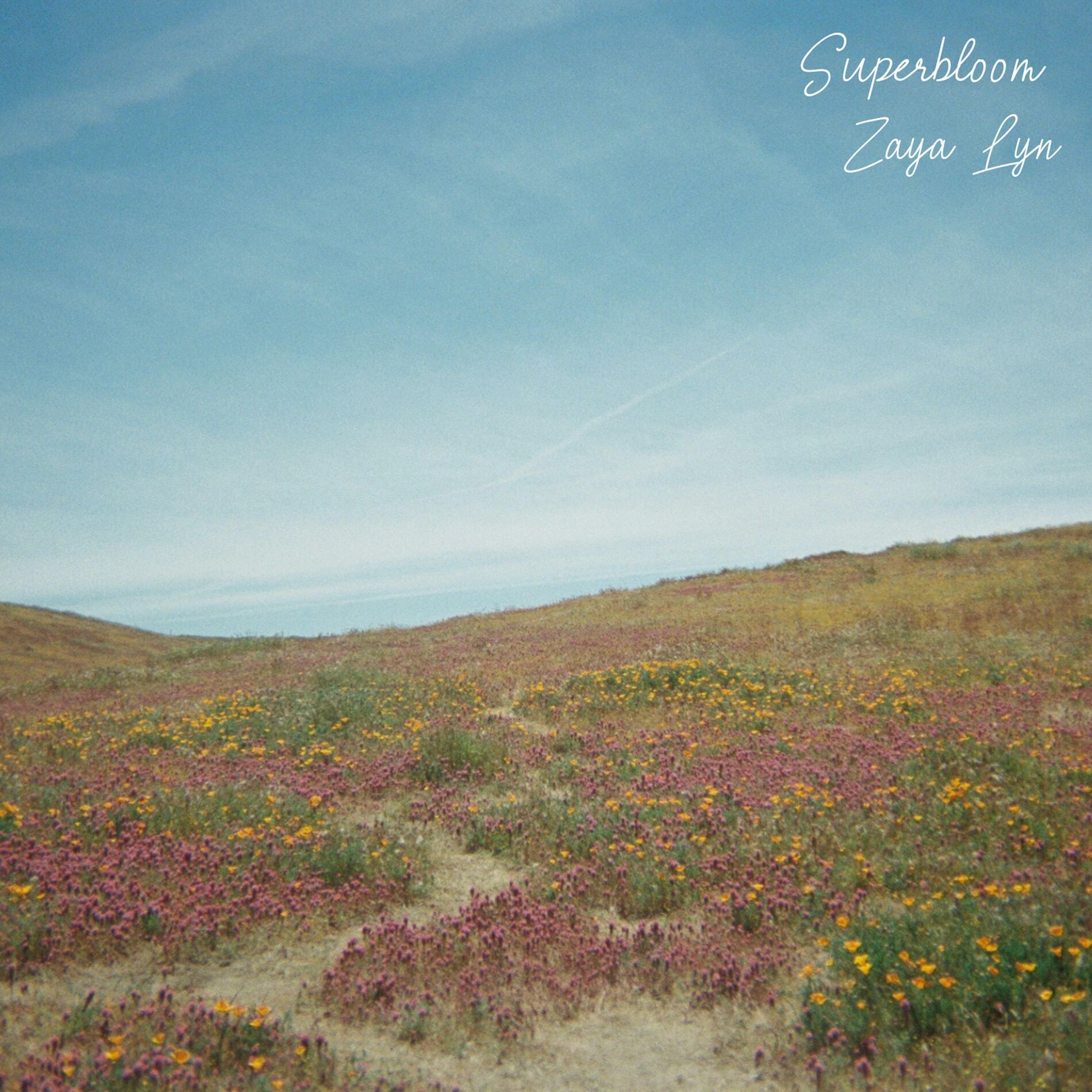 Album cover of Superbloom