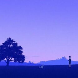 I Dream