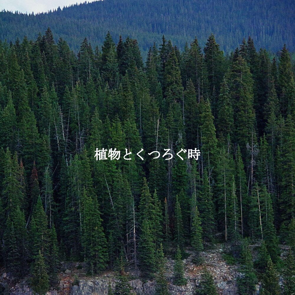 Picture of 植物とくつろぐ時