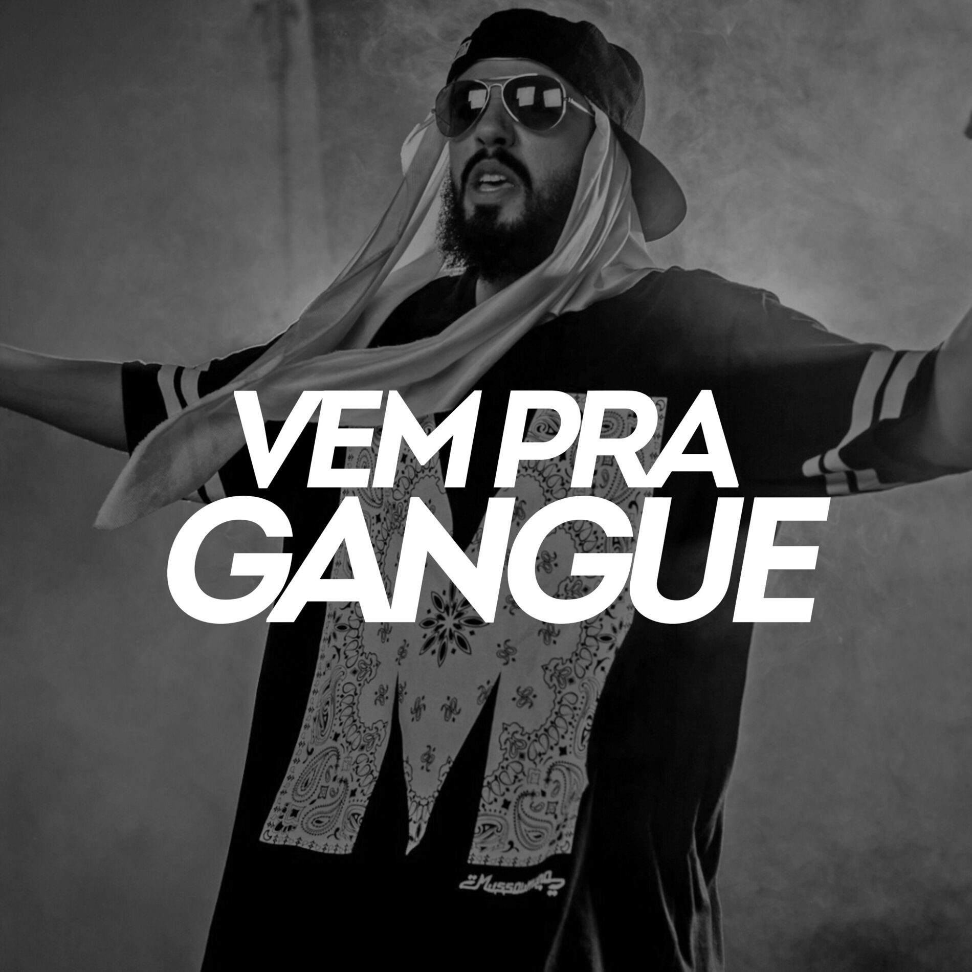 Album cover of Vem pra Gangue
