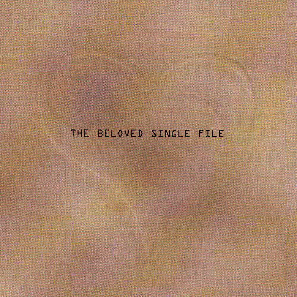 Picture of Single File