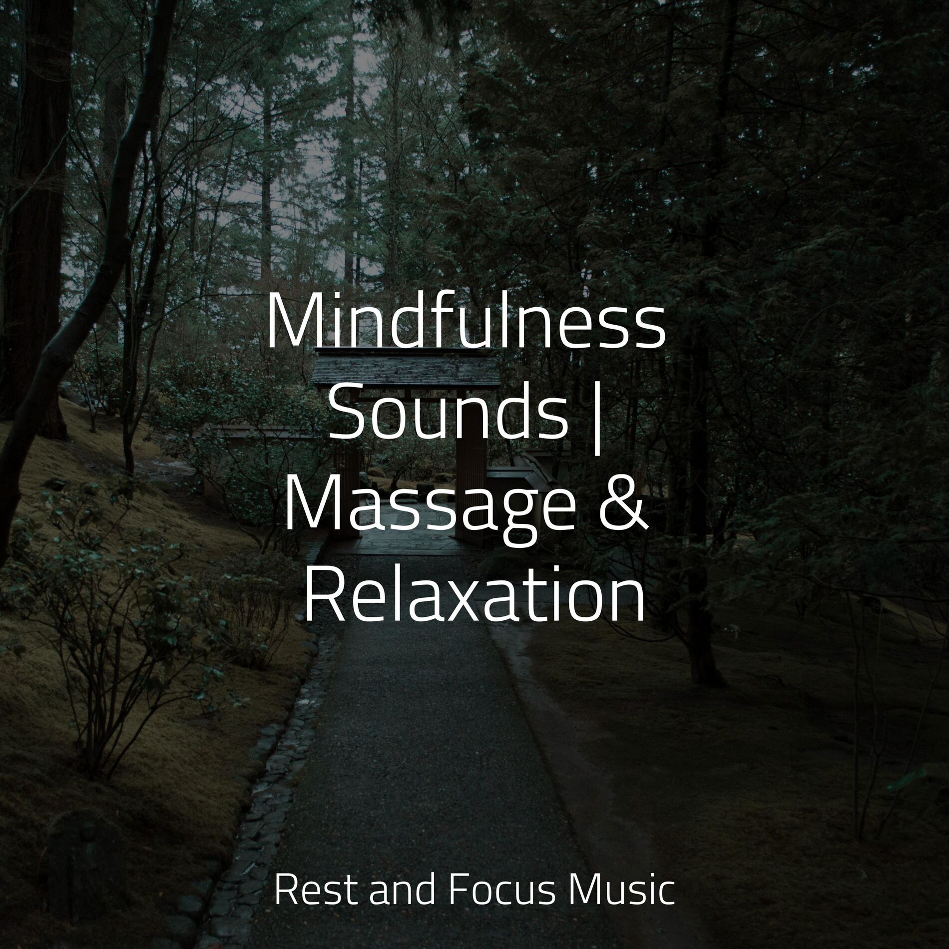 Album cover of Collective Mind