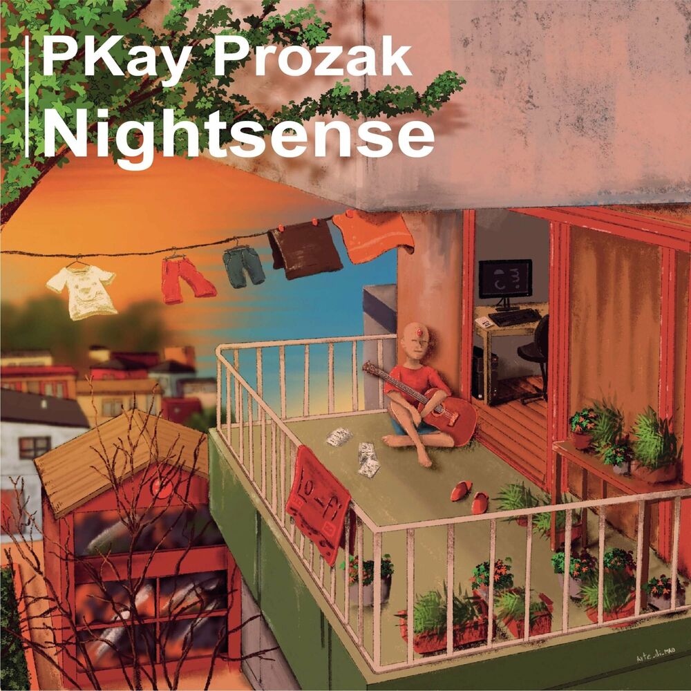 Picture of Nightsense