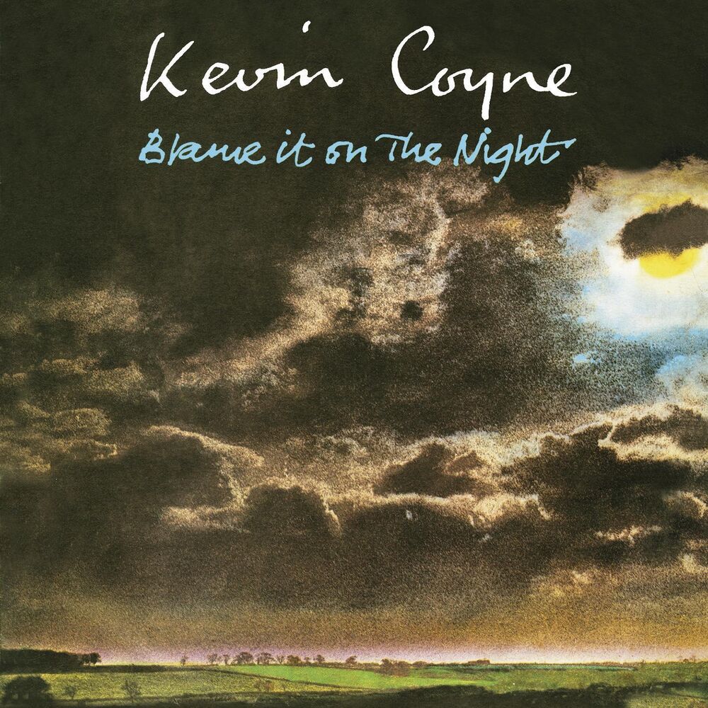 Picture of Blame It On The Night