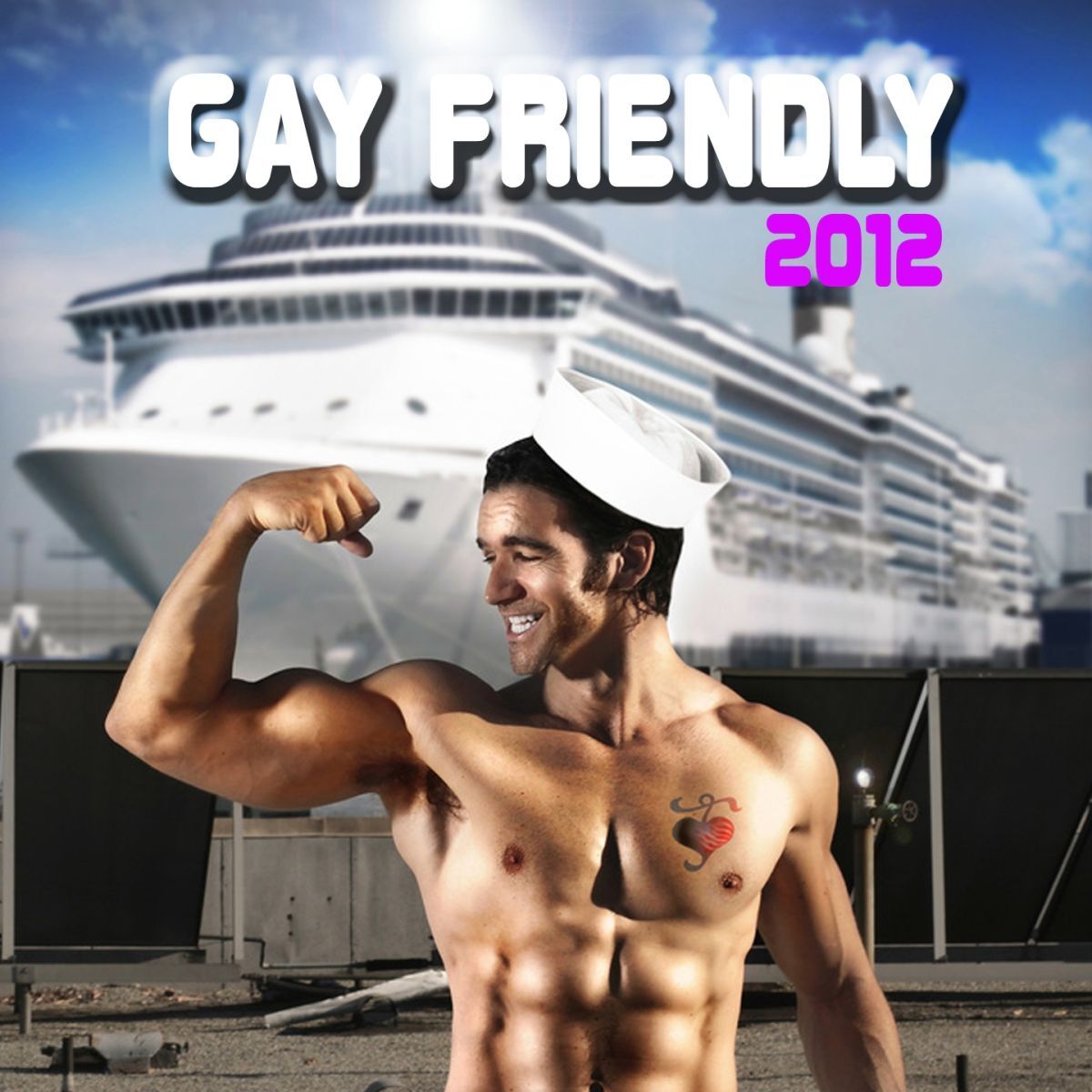 Album cover of Gay Friendly 2012