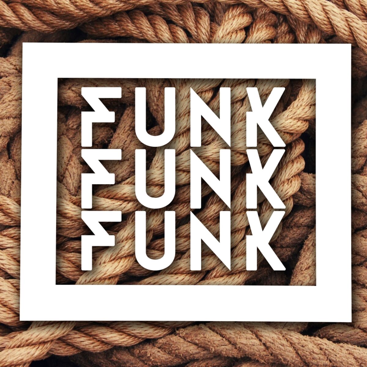 Album cover of Funk Funk Funk