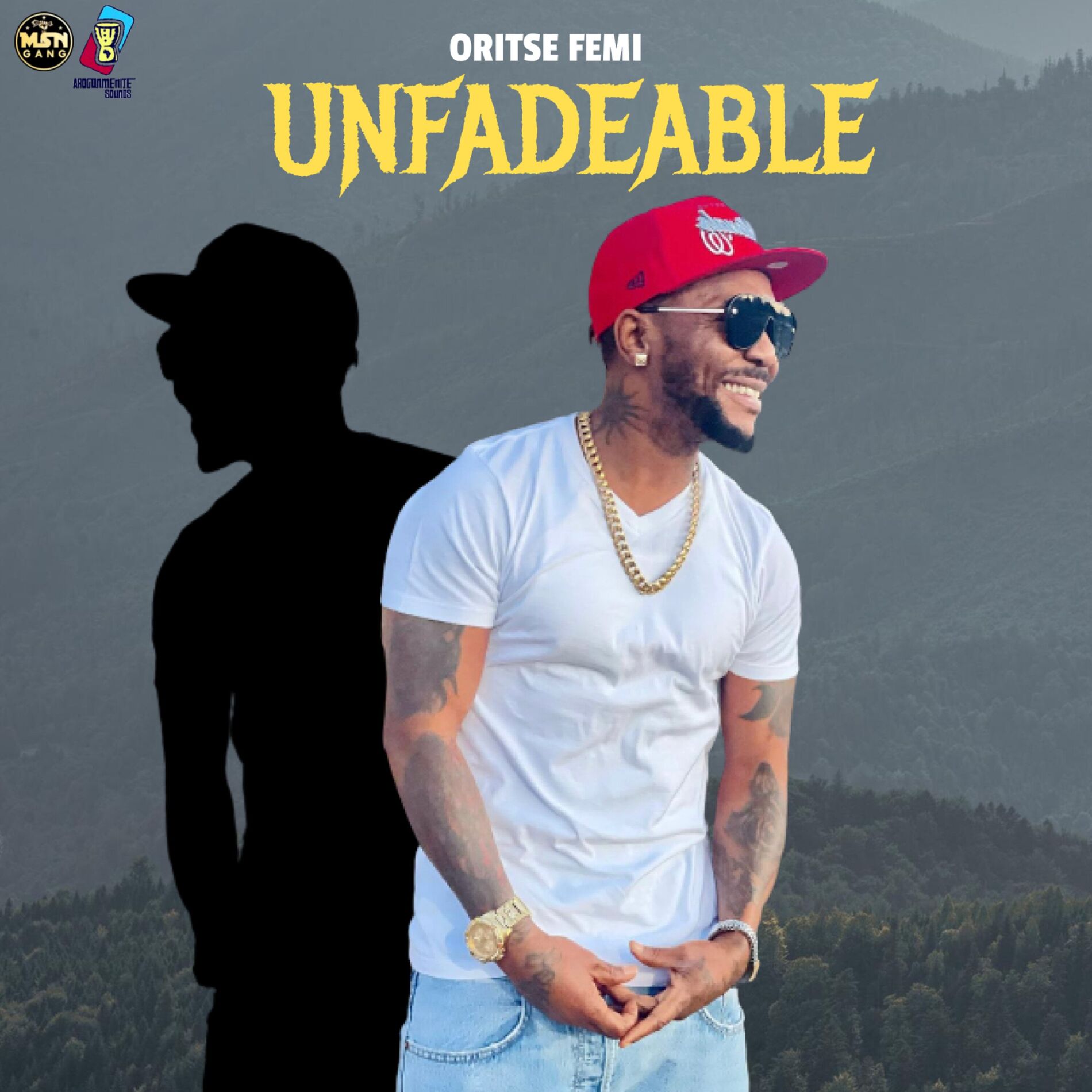 Album cover of Unfadeable