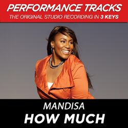 Cover of How Much (EP / Performance Tracks)