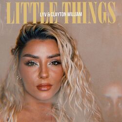 Cover of Little Things