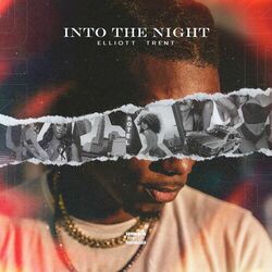 Cover of Into the Night