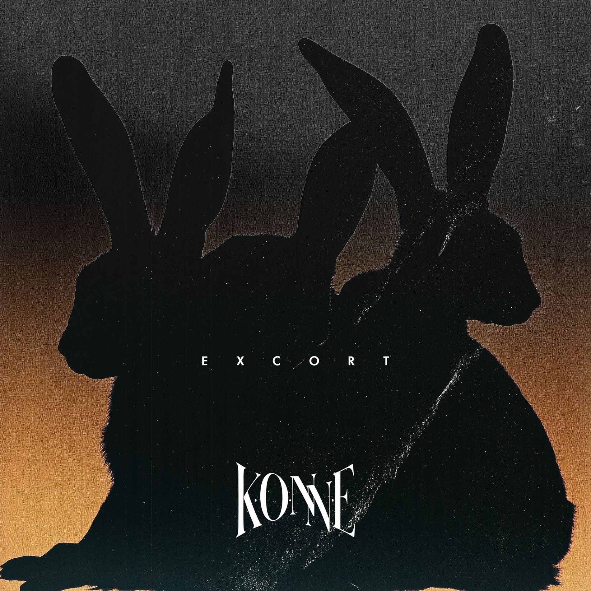 Album cover of EXCORT