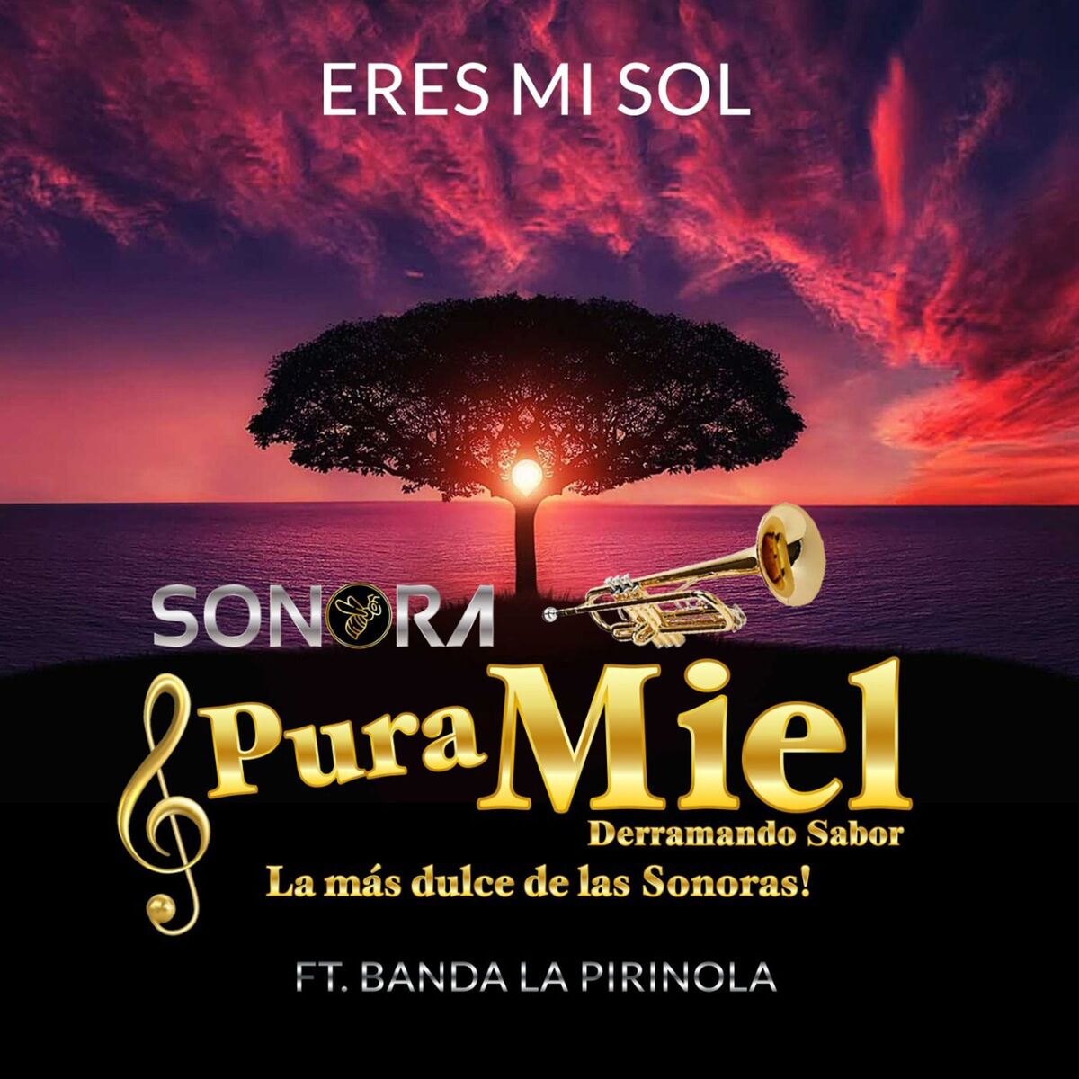 Album cover of Eres Mi Sol (Derramando Sabor La Más Dulce de las Sonoras)