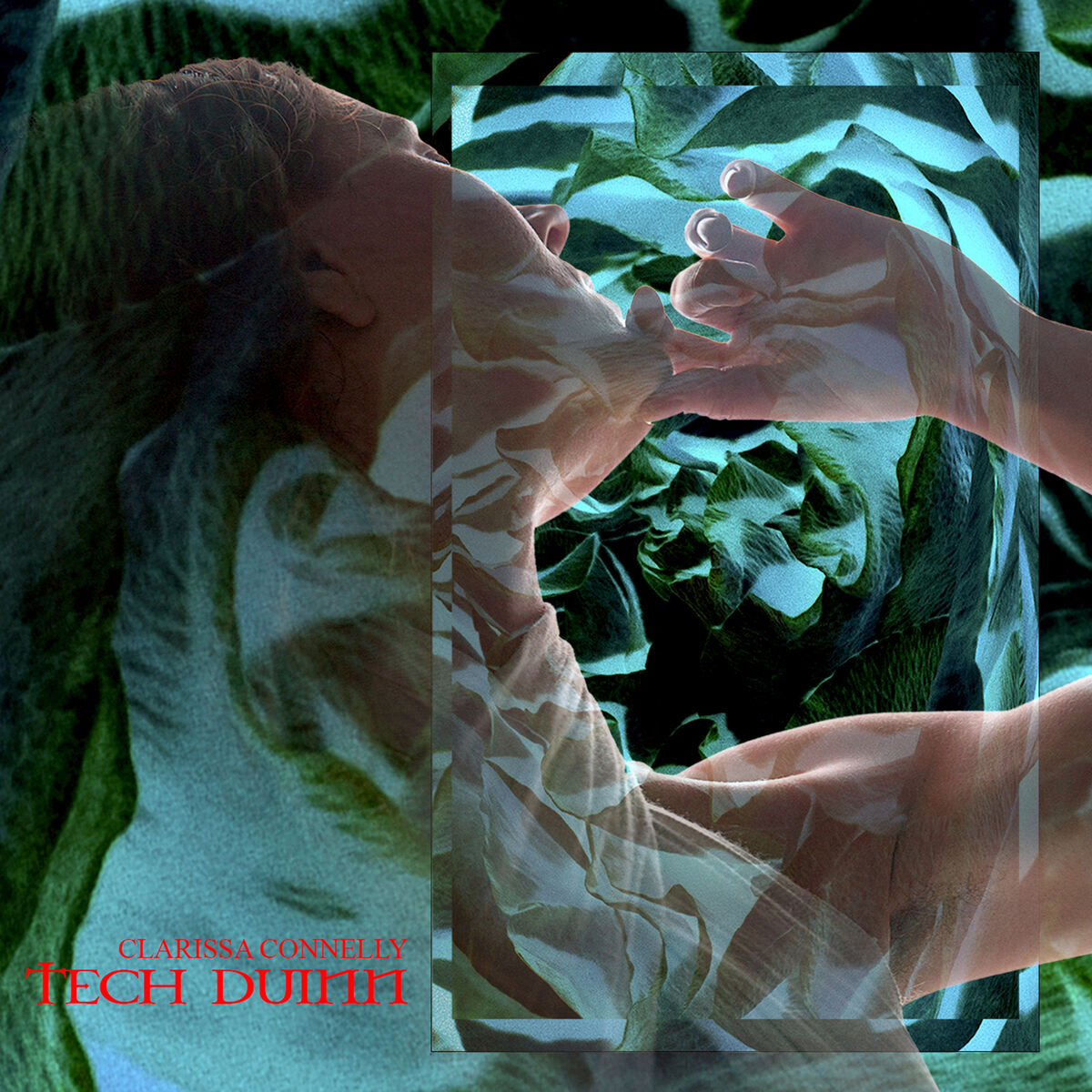 Album cover of De Novo
