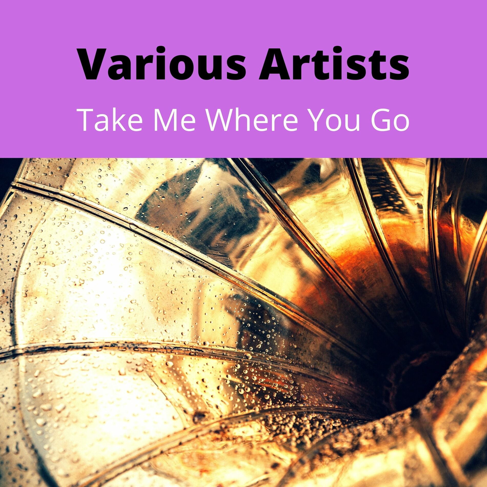 Album cover of Take Me Where You Go