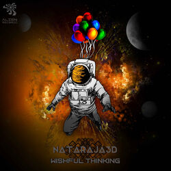 Cover of Wishful Thinking