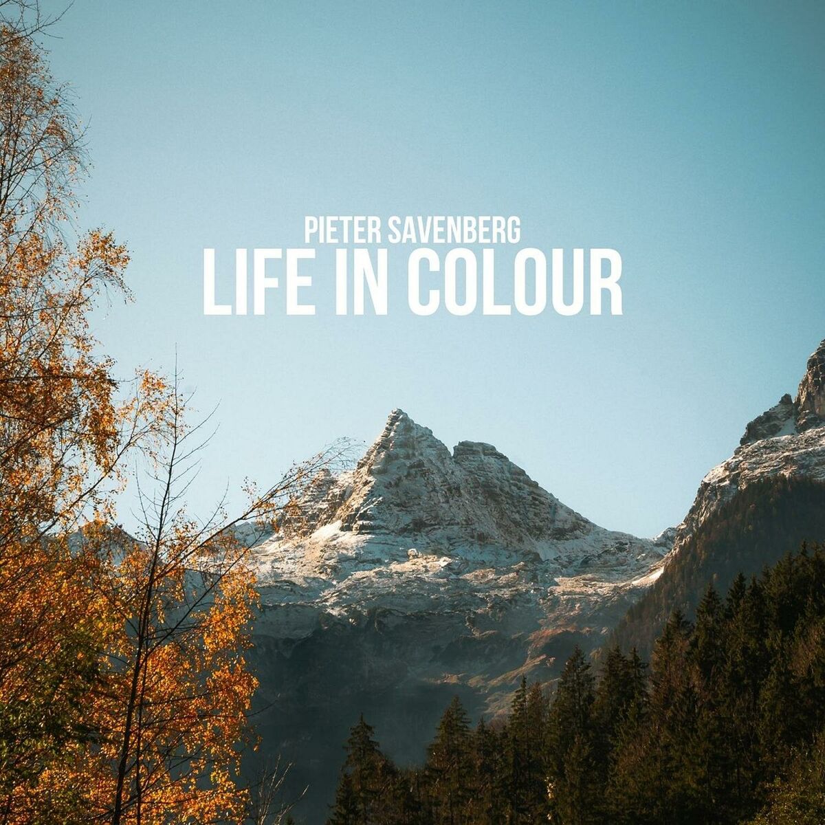 Album cover of Life in Colour